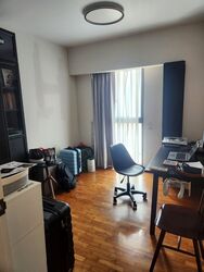 Blk 1C The Pinnacle@Duxton (Bukit Merah), HDB 4 Rooms #502496281